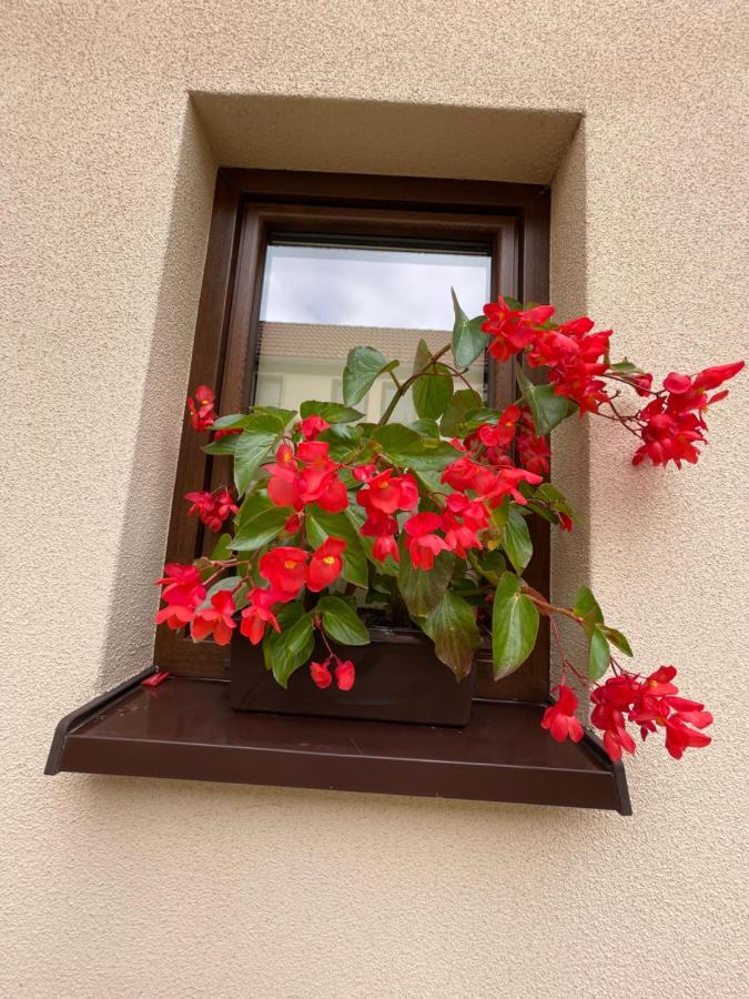 Sloneczne Apartamenty Polanica-Zdrój Kültér fotó